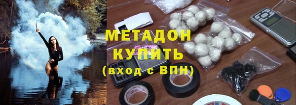 прущие грибы Видное